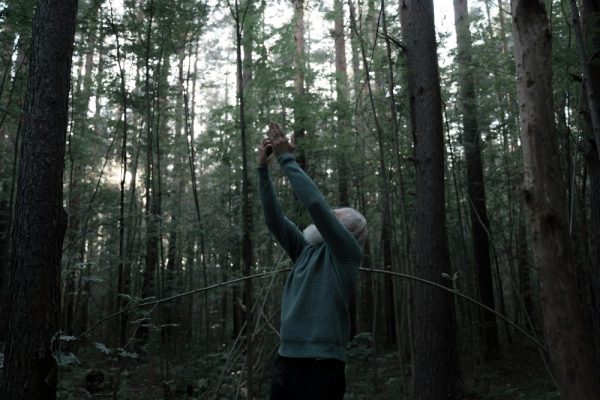 手機影音串流畫質差怎麼辦:解碼與網路測試實測 An elderly man stands in a forest, reaching upwards with a smartphone, seeking connectivity.