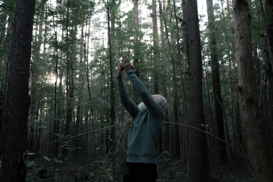 An elderly man stands in a forest, reaching upwards with a smartphone, seeking connectivity.