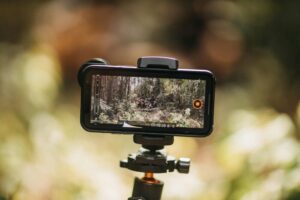 Smartphone mounted on tripod capturing nature. Ideal for vlogging and travel videos.