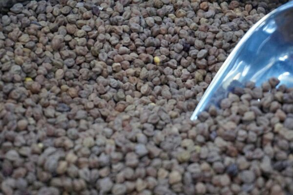 Close-up image of dry chickpeas with a metal scoop, perfect for cooking and culinary themes.