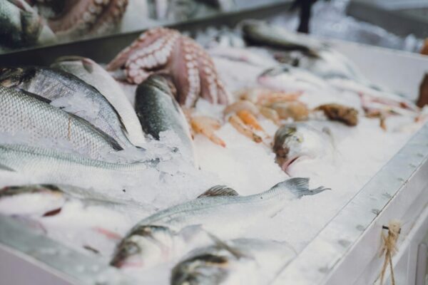 Raw fish and seafood on ice at a bustling Turkish fish market