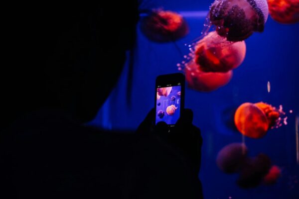 Xperia 1 VI 與 iPhone 16 Pro 對比:影像與色彩全面解析 image