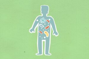 從上方看卡紙剪影，顯示不同細菌在身體擴散的綠色背景插圖