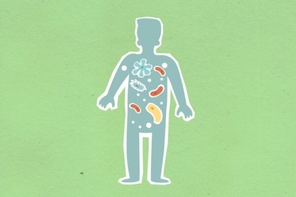 從上方看卡紙剪影，顯示不同細菌在身體擴散的綠色背景插圖