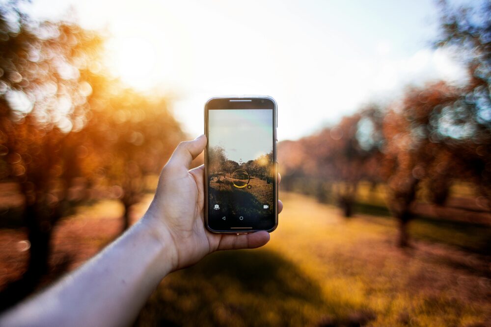 Close-up of a smartphone capturing a sunny outdoor scene with bokeh effect