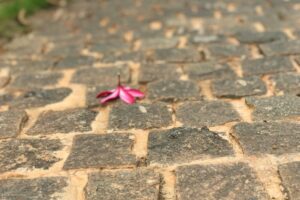 光線與環境影響示意