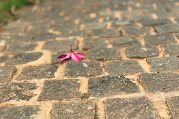 光線與環境影響示意