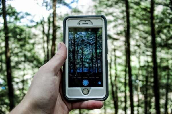 Pixel 9 Pro 演算法影像與電池續航評測:色彩與長效表現 Hand holding a smartphone camera capturing a forest scene