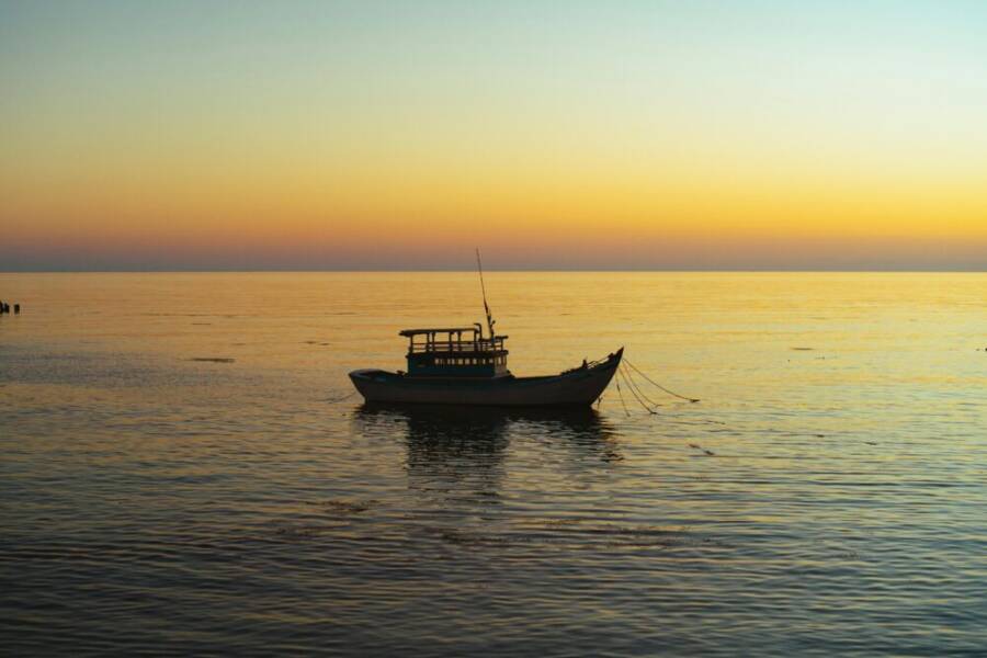 Best Smartphone for Fitness Influencers Recording Workouts (Top Picks)