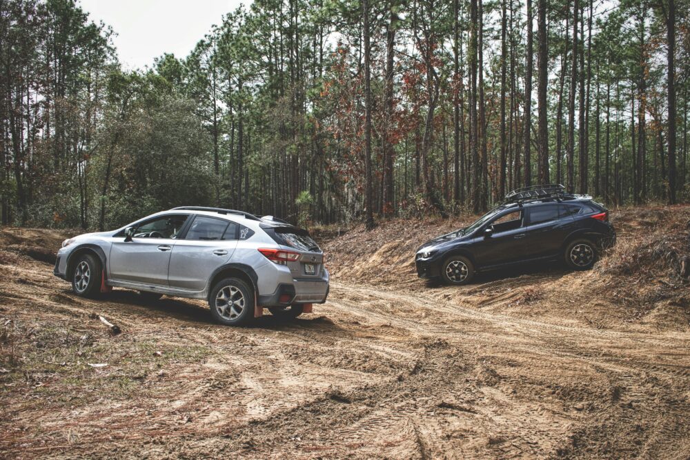 兩輛SUV沿著崎嶇的小路穿越茂密的松樹林，展開了一段充滿冒險的越野之旅。