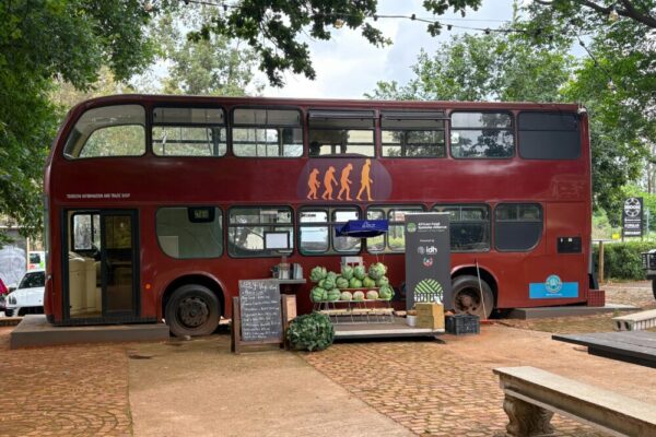 休閒餐飲、公車、創意再利用的免費圖庫相片