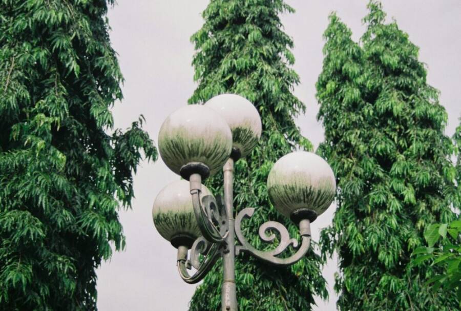 cần thơ, 亞洲, 公共照明的免費圖庫相片