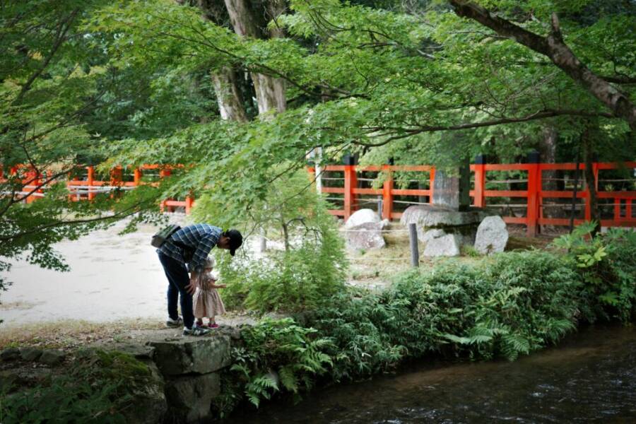 京都河邊公園裡父親與孩子之間的寧靜時刻。