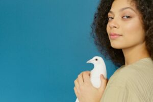 Copyspace，人與動物的紐帶，另一幅免費的雕像相片