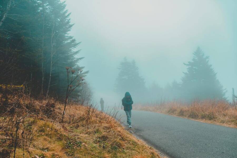 健行者沿著霧氣博物館的森林小徑行走，周圍圍繞著薄霧和常綠森林。