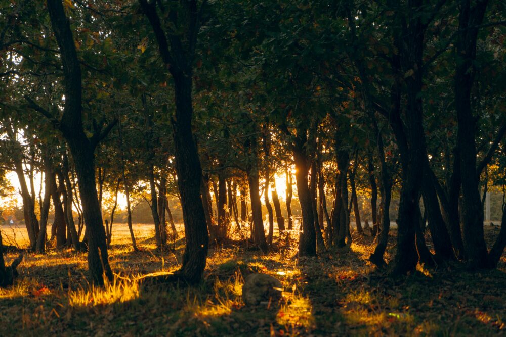 曼哈頓, 身材高大, 仰視的免費圖庫相片