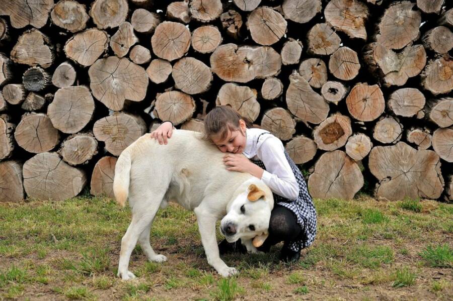 戶外的一個小女孩在木頭前深深地擁抱一隻友善的狗狗。