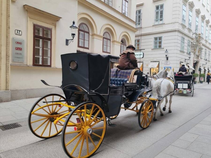 維也納一條歷史悠久的街道上行駛著一輛傳統的馬車。