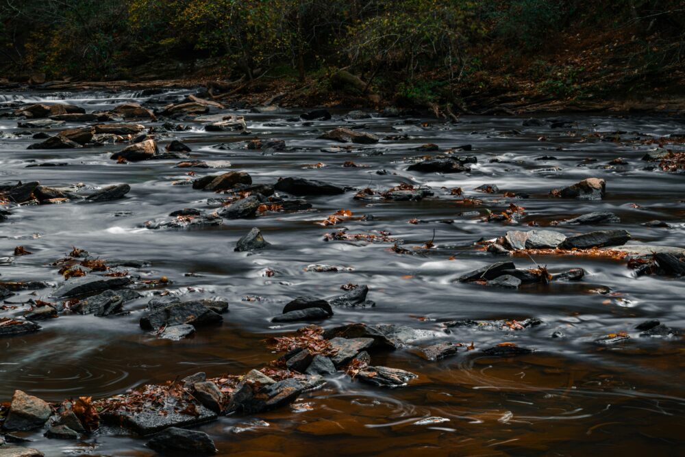 秋日的森林中,一條潺潺的溪流穿過岩石和落葉。