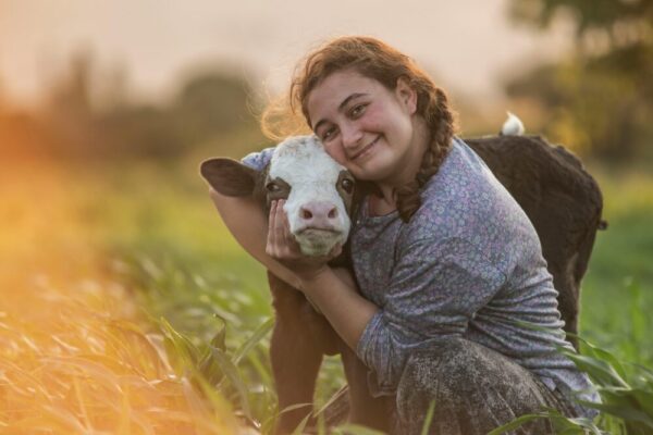 伊茲密爾奧代米甚的日落時分，一個女孩在鬱鬱蔥蔥的田野裡擁抱一頭小牛的歡樂場景。