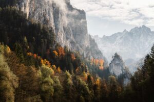 梧桐施蒂利亞州，秋日里雲霧繚繞的山脈和色彩斑斕的森林，景色令人嘆為觀止。