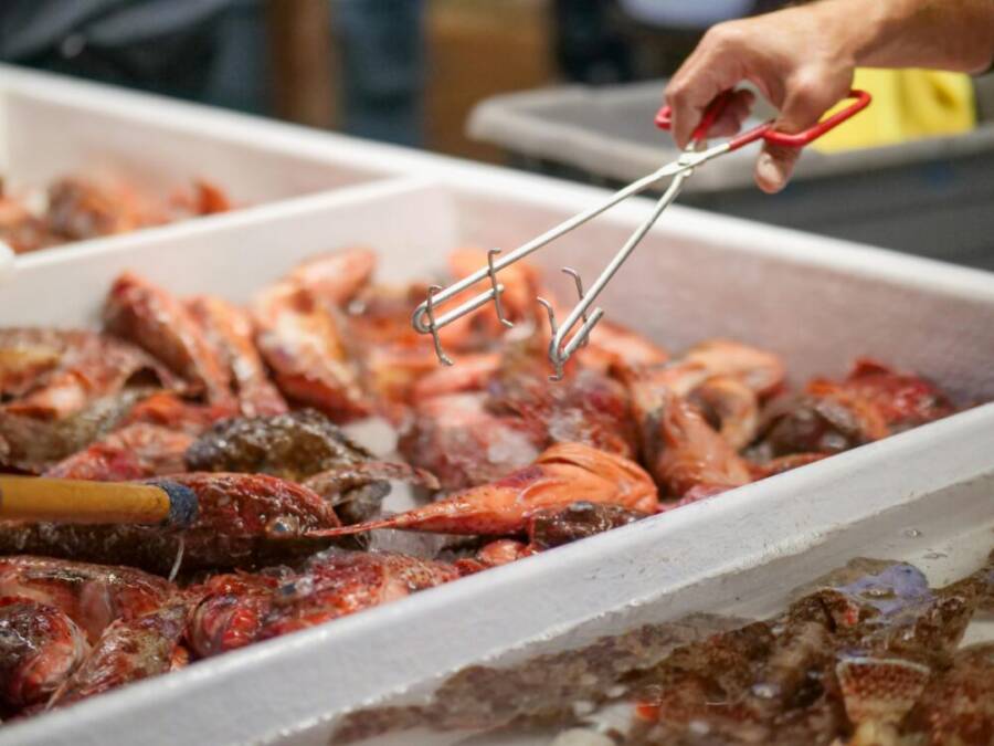 一個人在魚市場上買了新鮮的杜父魚