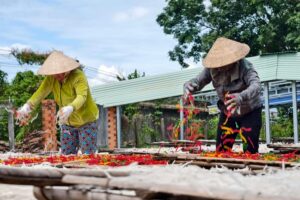 下田、乾燥、亞洲文化的免費圖庫相片