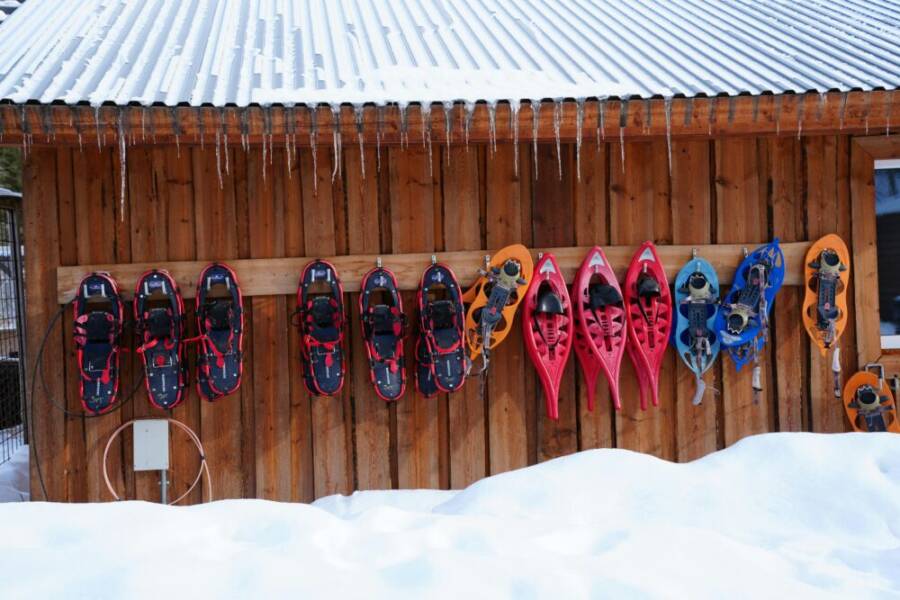 ILCE-7CM2，snowfamily，冒險的免費圖庫相片