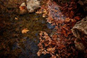 @戶外、反射、和平的免費圖庫