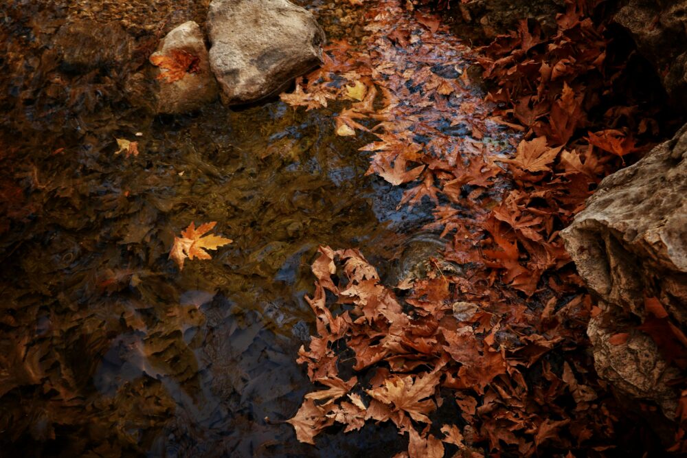 @戶外、反射、和平的免費圖庫