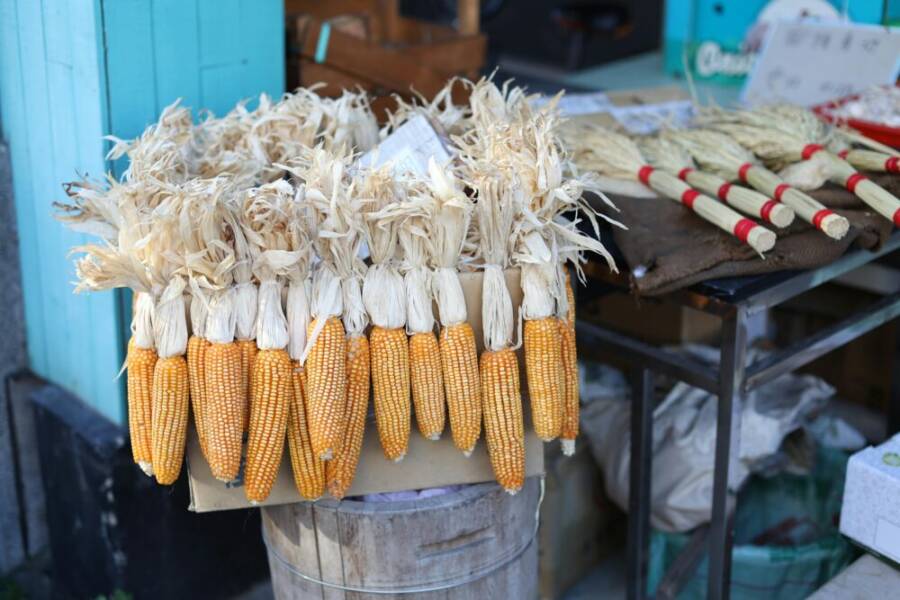 玉米、 模具、 食物的免費圖庫相片