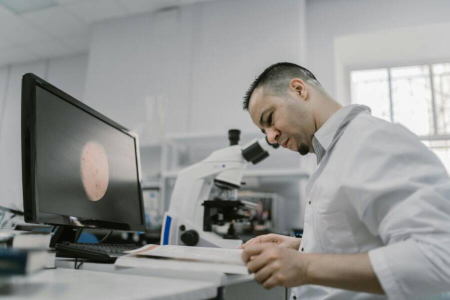 dna 分析、主動學習、亞洲人的免費圖庫