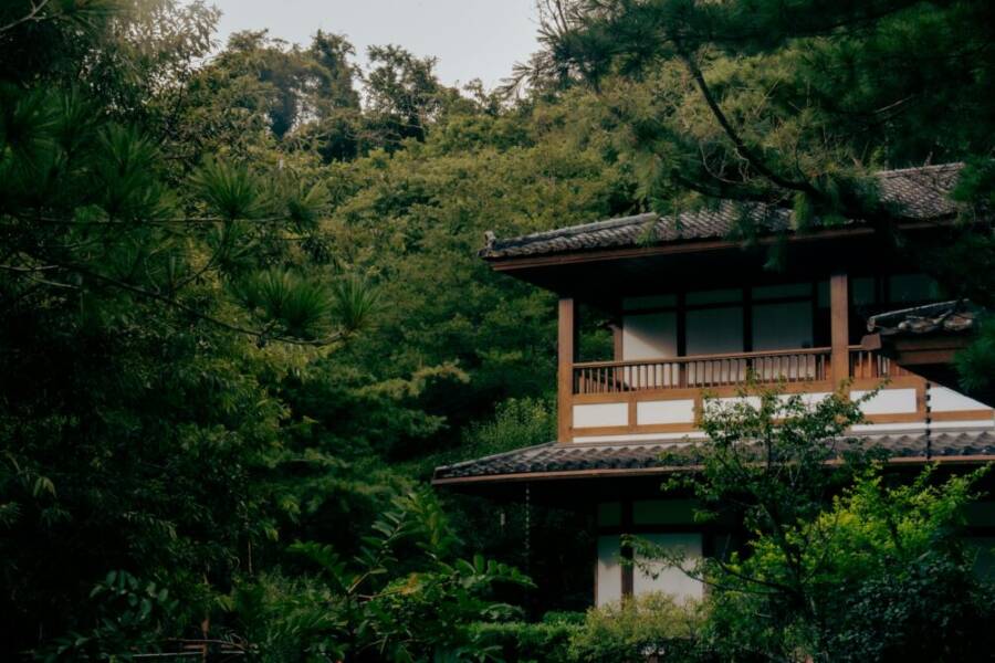 台灣南投縣，寧靜的傳統建築掩映在茂密的綠樹中。
