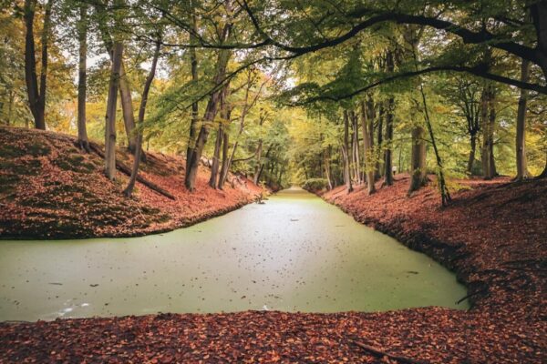 @戶外、海牙、outono 的免費圖庫相片