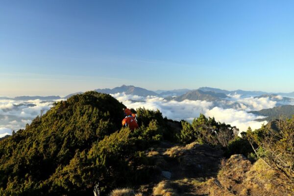 雲海與山景