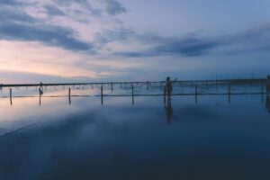 外埔忘憂谷黃金田野