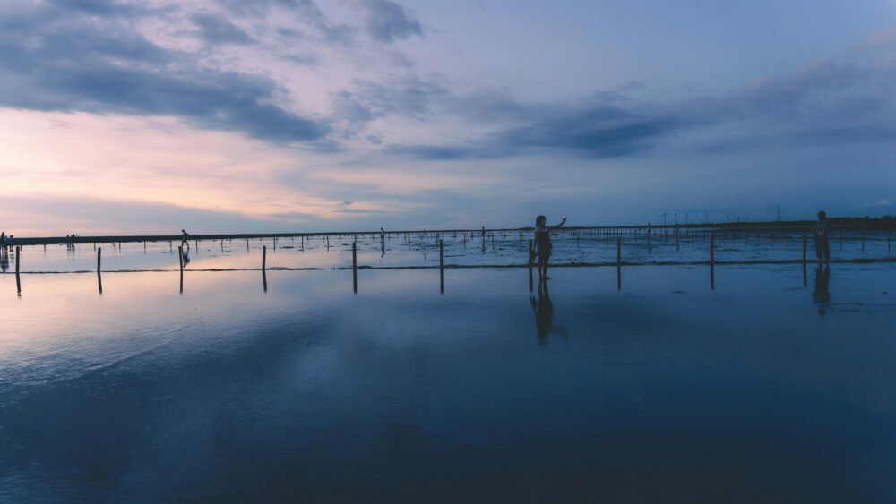 外埔忘憂谷黃金田野