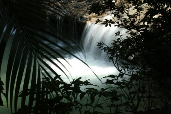 Peaceful waterfall surrounded by lush greenery in Taipei forest. Perfect nature escape.