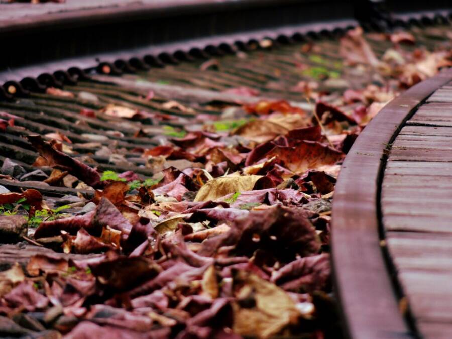 台東騎單車景點與路線攻略：小鎮風光、海岸綠道全覽