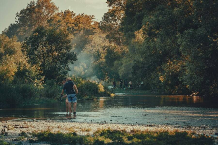 A serene scene of families enjoying a day in nature by a forest river