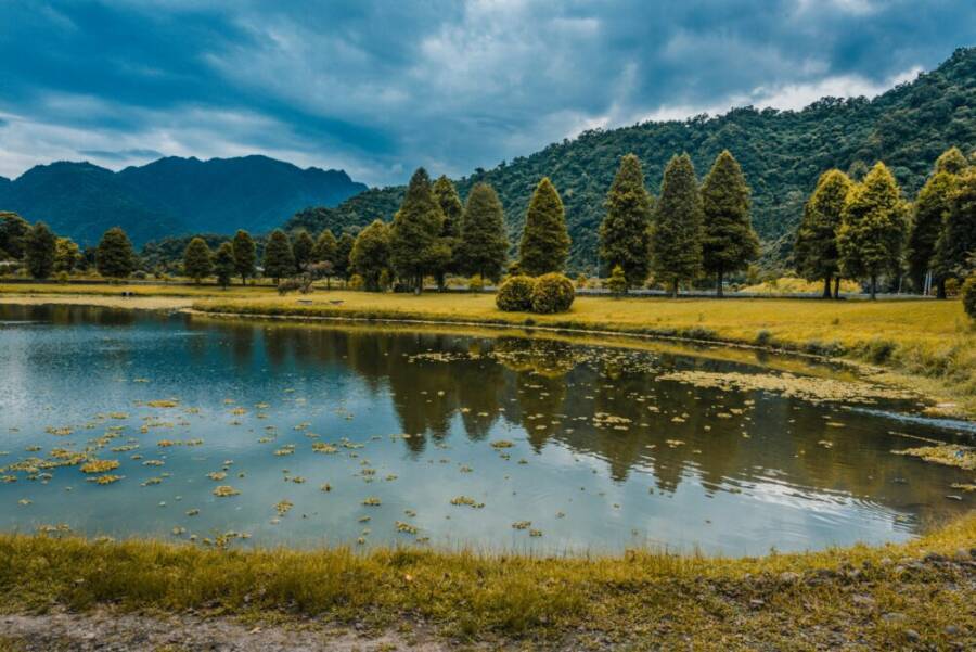 Serene lake view