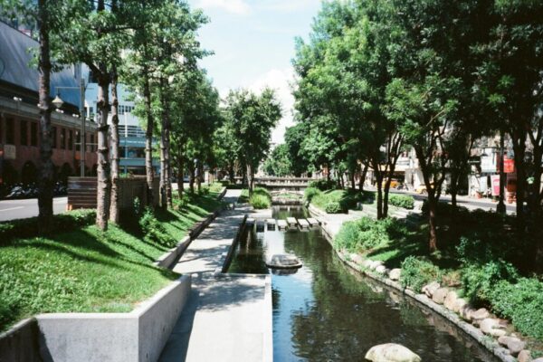 Serene view of a tree-lined canal in Taichung City park under bright summer skies.