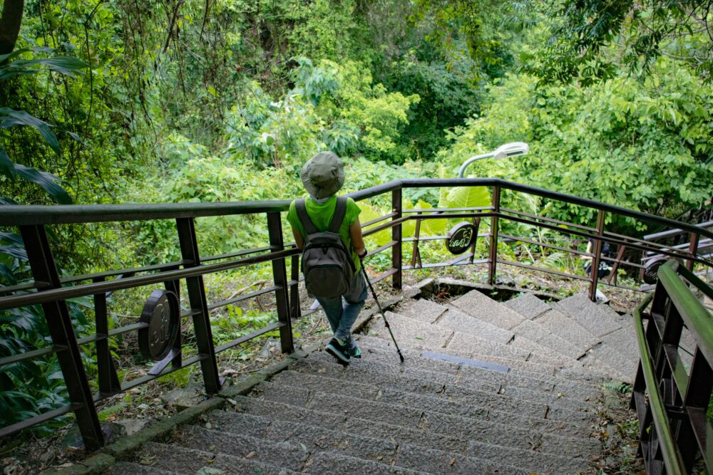 A woman hiker descends a lush, green stairway in a Taipei park, enjoying summer leisure.