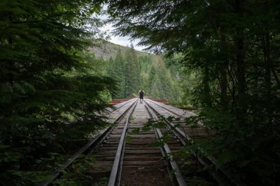 A solitary person walking along an old railway track surrounded by lush forest.