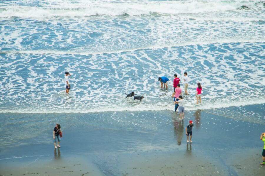 台東親子兩天一夜景點與住宿提案：海岸線自然教育與在地美食攻略