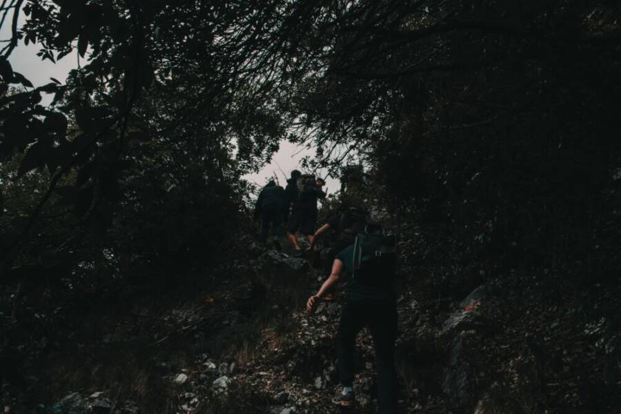 A group of hikers trekking through a dense, shadowy forest trail, capturing the essence of adventure in nature.