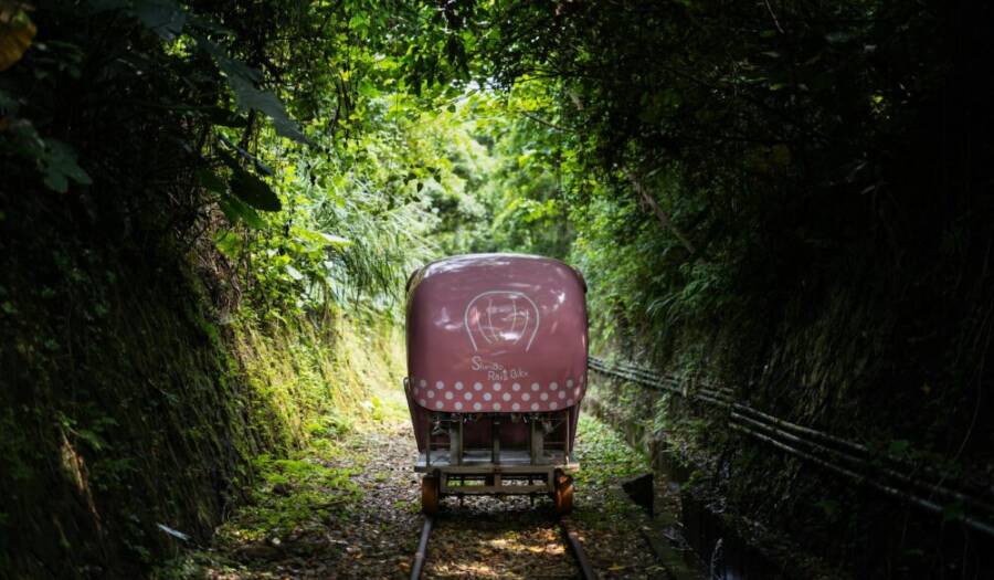 南投集集小鎮必玩：鐵道綠隧道、老街小吃、騎單車路線