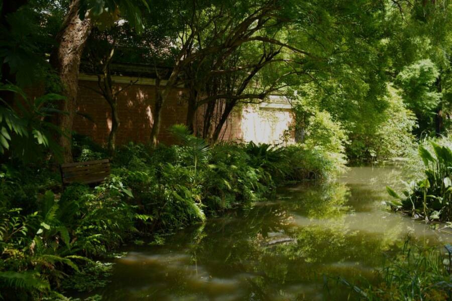 Serene green landscape by a calm pond in a Taipei park