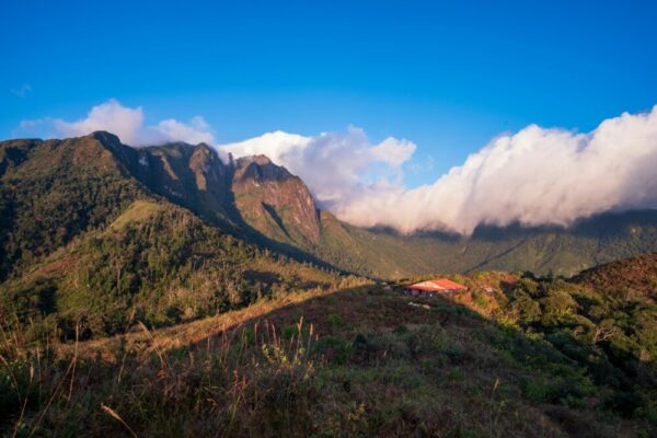 旅行者使用手機查詢路線與翻譯