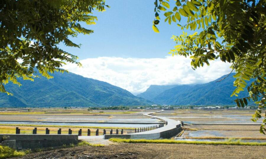 Explore the serene rice fields and mountains of Chishang, Taitung County, Taiwan under a clear blue sky.